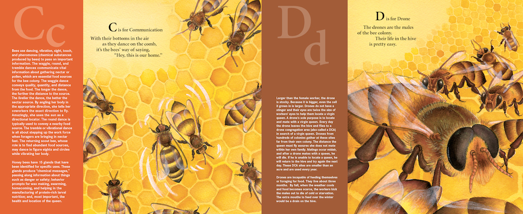 H is for Honey Bee