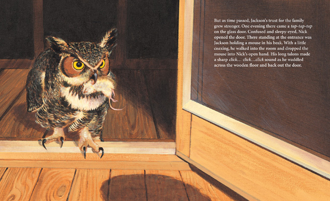 Adopted by an Owl