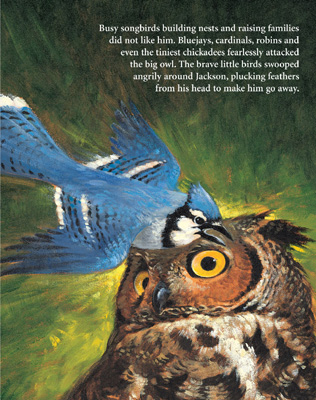 Adopted by an Owl