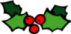 Holly Berries