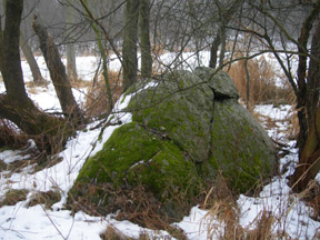 Moss & Stone