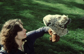 Young Robbyn and Young Owlet